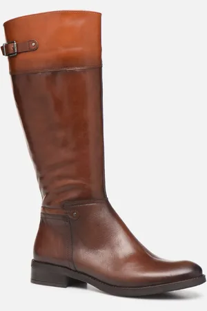Dorking Tierra 7687 by