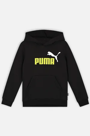 PUMA Ess+ 2 Col Big Logo Hoodie Fl B by