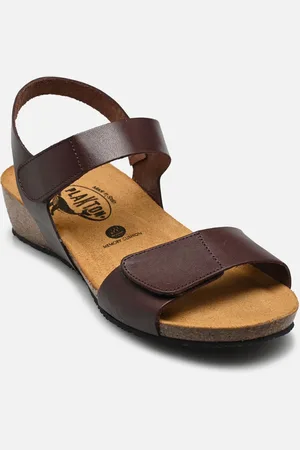 Plakton Norita by