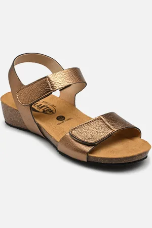 Plakton Norita by