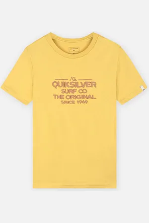 Quiksilver Feedingline B Tees by