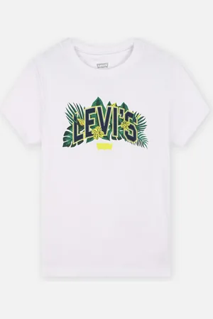 Levi