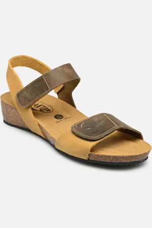 Plakton Norita by