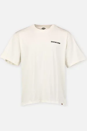 Dickies LANDASCAPE SS TEE by