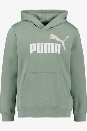 PUMA ESS 2 Col Big Logo FL kinder hoodie