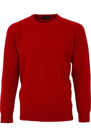 Alan Paine Trui warm lamswol ronde hals ruime fit