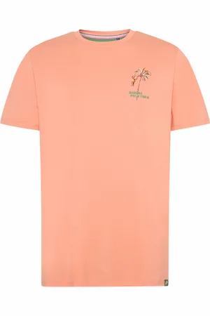 A fish named fred T-shirt effen