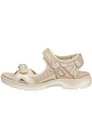 Ecco Offroad