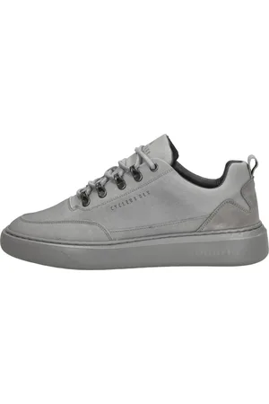 Cycleur de luxe Brink