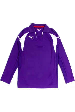 PUMA Heren Violet V-Kat Lange Mouw Sport Top