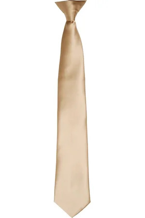 Premier Kleuren Heren Satin Clip Tie (Khaki)