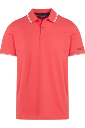 Regatta Heren Tadeo Polo Shirt ( Hemels/Wit)