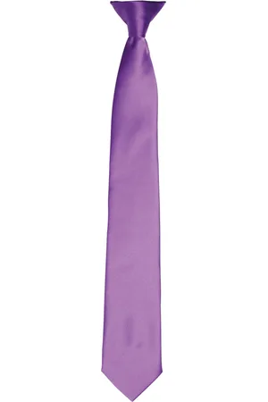 Premier Kleuren Heren Satin Clip Tie (Rijke )