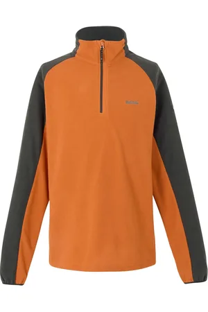 Regatta Heren Elson II Lichtgewicht Fleece (Vos/Ash)