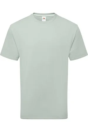 Fruit Of The Loom Katoenen uniseks T-shirt voor volwassenen (Salie)