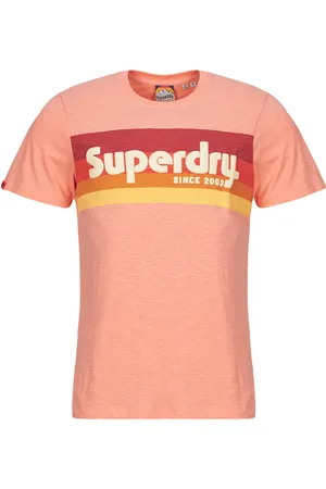 Superdry T-shirt Terrain Logo Stripe Relxed
