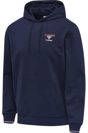 Hummel Hooded sweatshirt IC Dayton