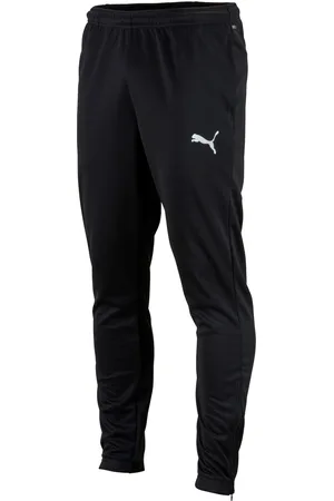 PUMA Broek Teamrise poly training