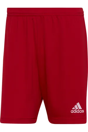adidas Short Entrada 22