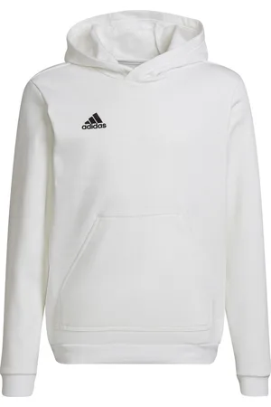 adidas Kinder sweatshirt met capuchon Entrada 22
