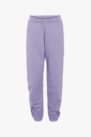 Colorful Standard Jogging Organic Purple Jade