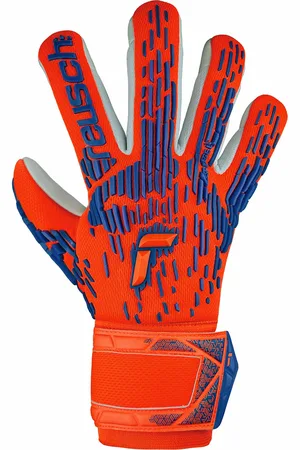 Reusch Keepershandschoenen Attrakt Freegel Silver