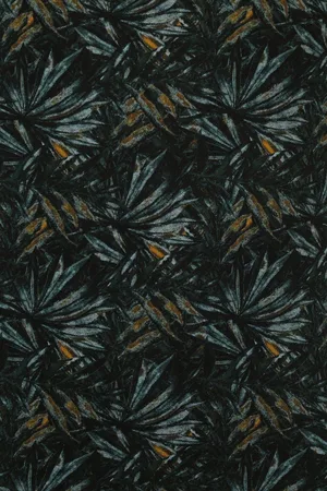No Excess Polo Pique Print Donkergroen