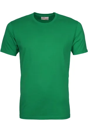 Colorful Standard T-shirt Kelly Green