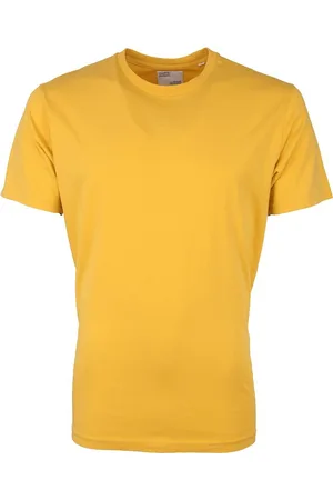 Colorful Standard T-shirt