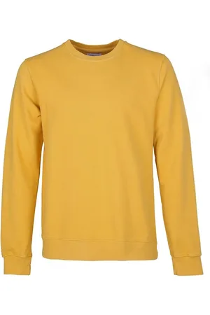 Colorful Standard Sweater