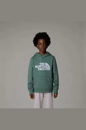 The North Face Drew Peak-hoodie Voor Jongens male