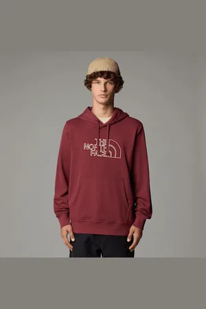 The North Face Drew Peak Light-hoodie Voor Heren male