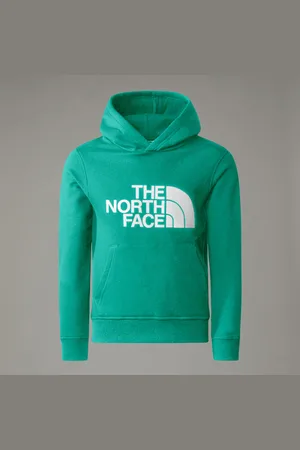 The North Face New Peak-hoodie Voor Tieners male