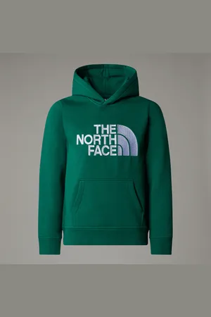 The North Face Drew Peak-hoodie Voor Jongens male