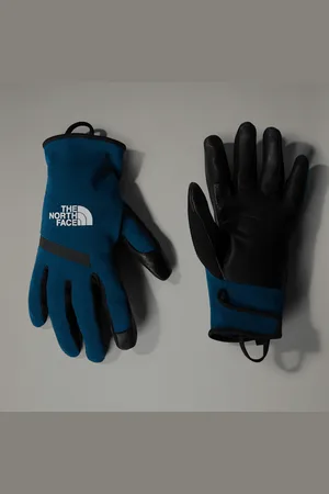 The North Face Amp-handschoenen male