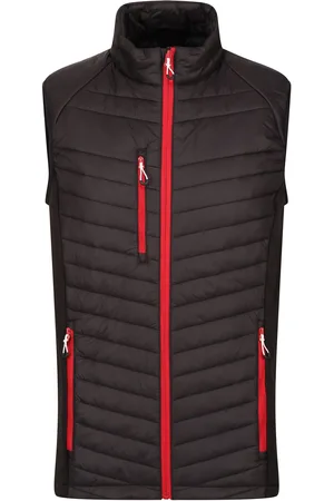 Regatta Heren navigate gewatteerd hybride gilet