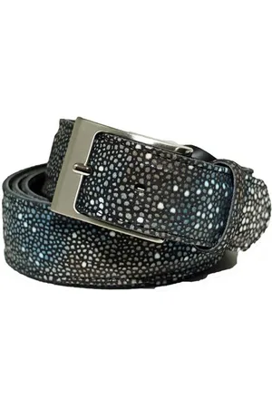 Berkelmans 231Belt227 Riemen