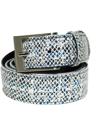 Berkelmans 231Belt104 Riemen