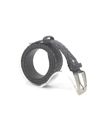 Berkelmans 242BELT310 Riemen