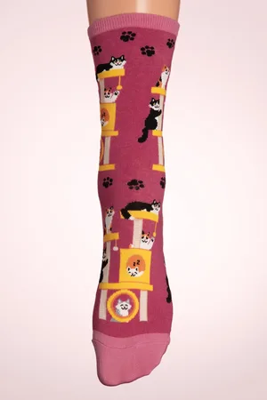 Socksmith Cool Cats Club Sokken in roze