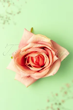 Banned Retro Scented Love Flower haarclip in koraal