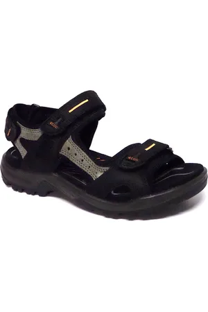 Ecco 06956450034
