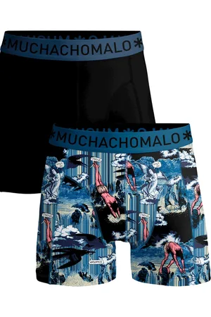 Muchachomalo Boxer waterfall