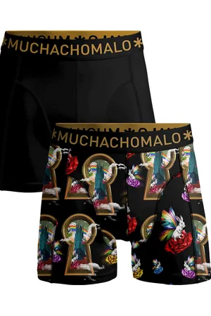 Muchachomalo Boxer overtherain