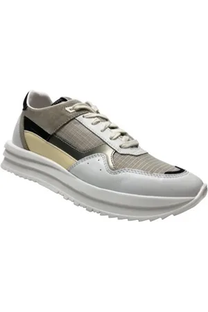 Giga G4081
