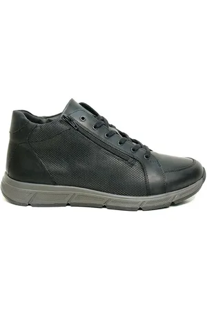 Solidus 67017