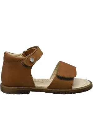 Falcotto Silt