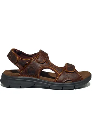 Panama Jack Salton basics