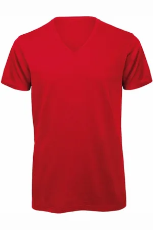 B and C Heren inspire organic v hals t-shirt