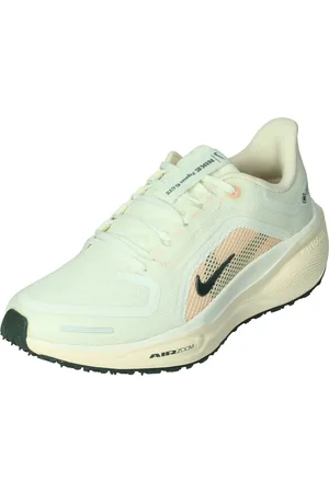 Nike Pegasus 41 gore-tex